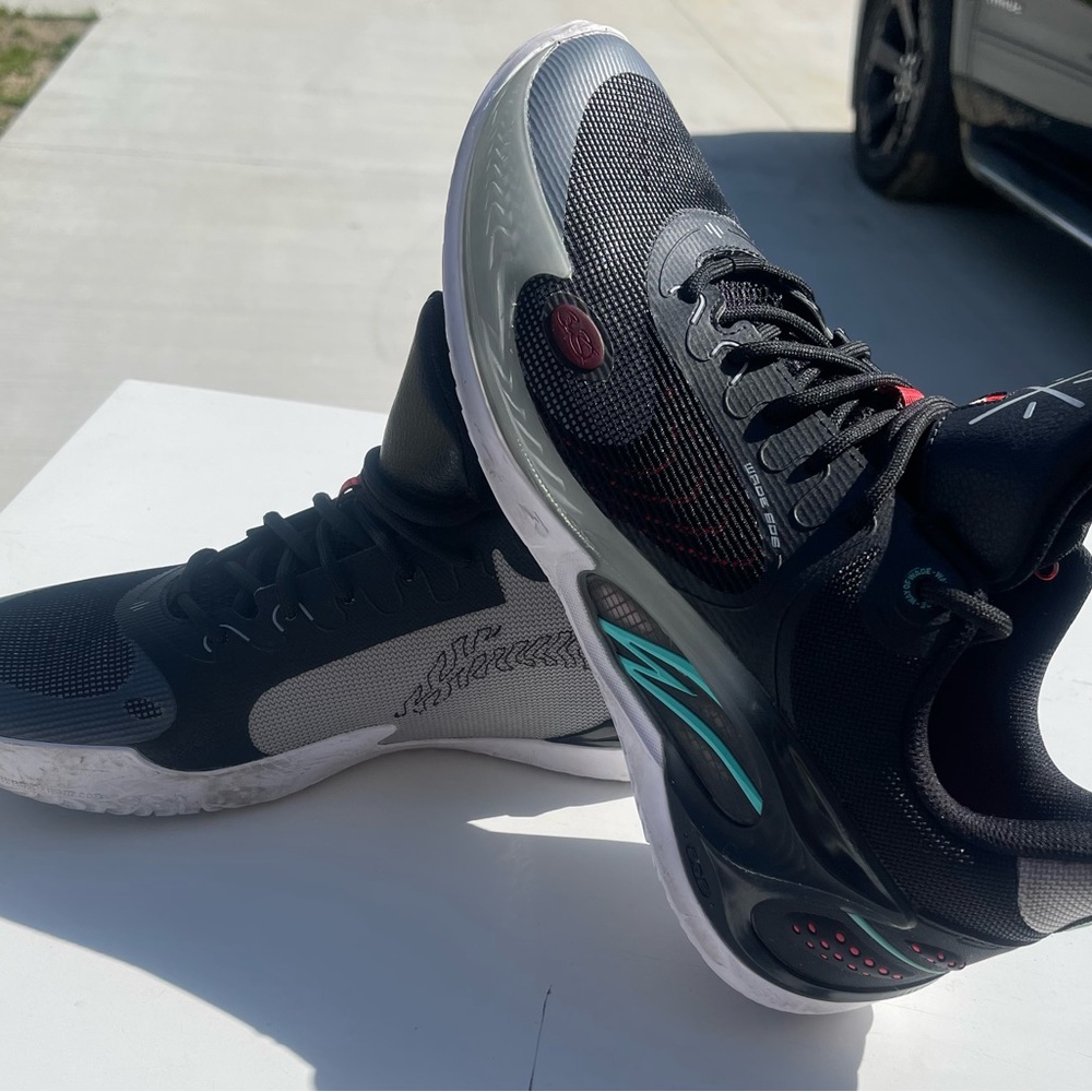 Dwayne Wade’s shoe
